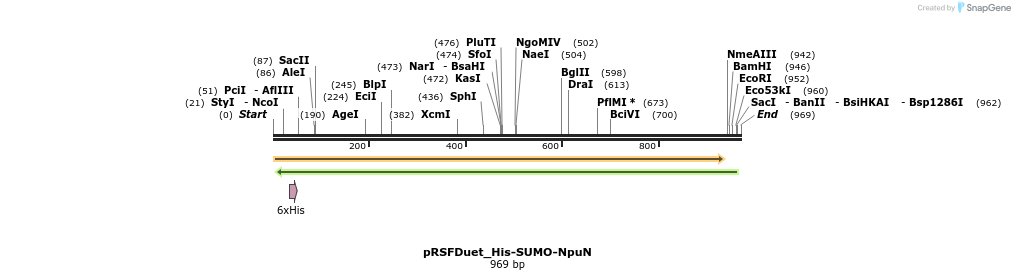510316_map