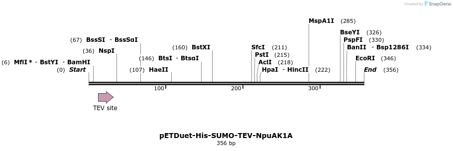 510317_map