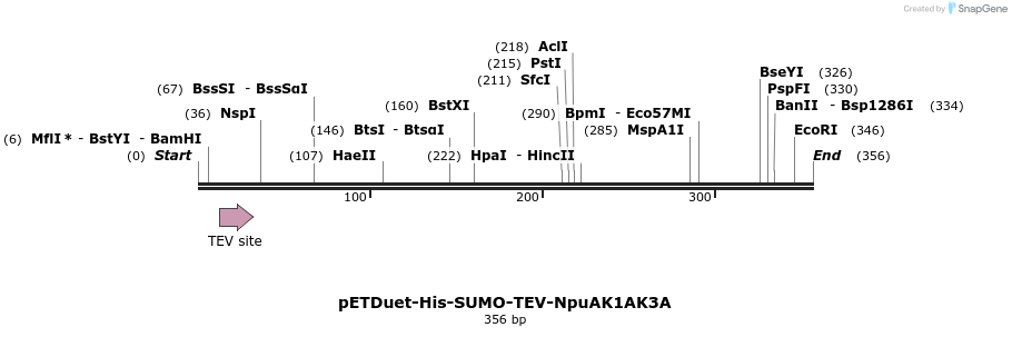 510319_map