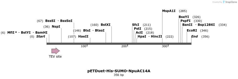 510320_map