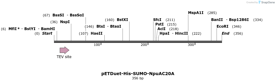 510321_map