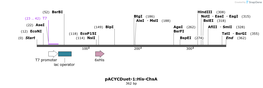 510327_map