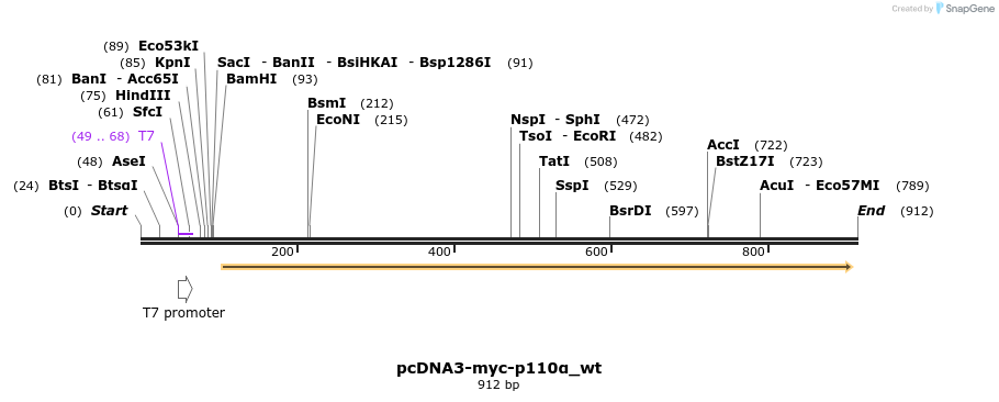 51033_map
