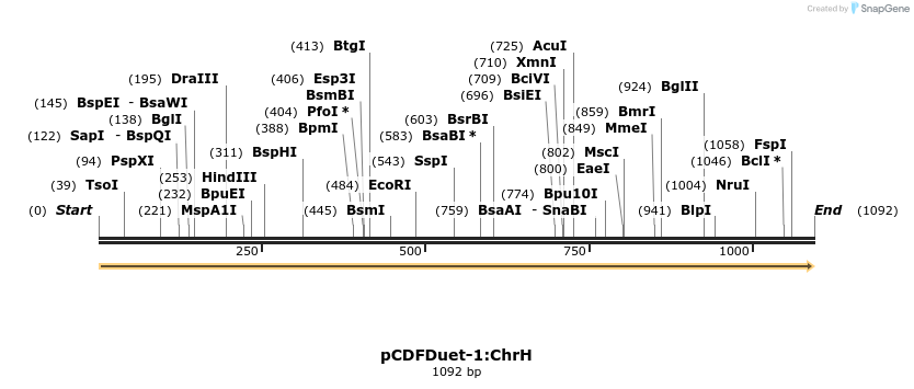 510331_map