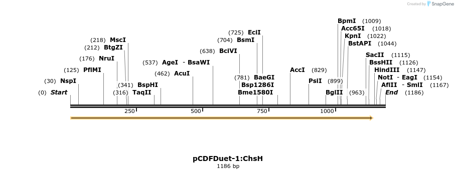 510333_map