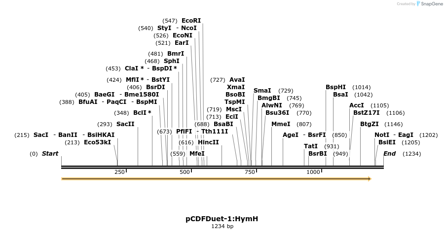 510334_map