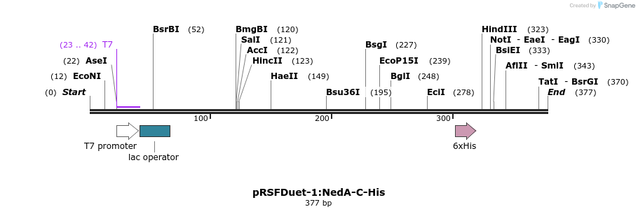 510339_map