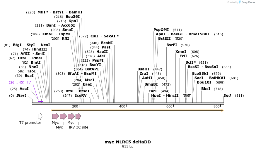 51034_map