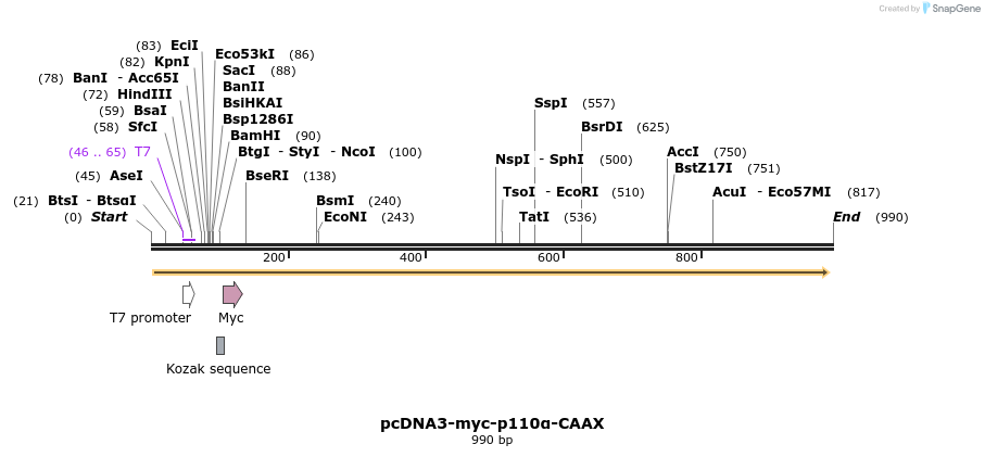 51038_map