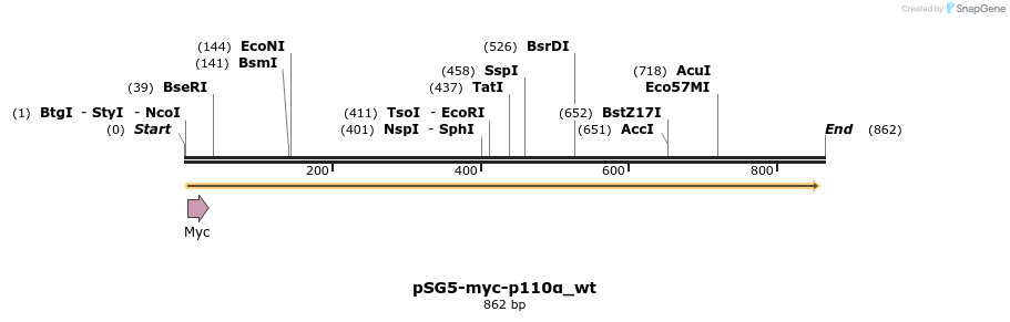 51039_map