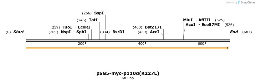 51040_map