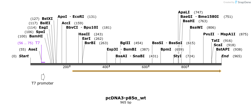 51041_map