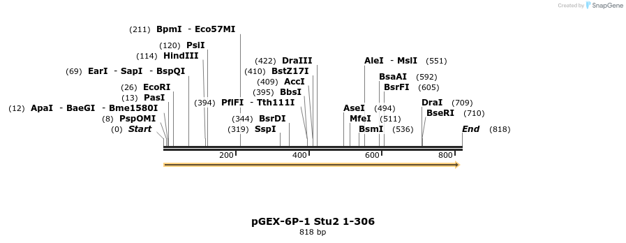 51042_map