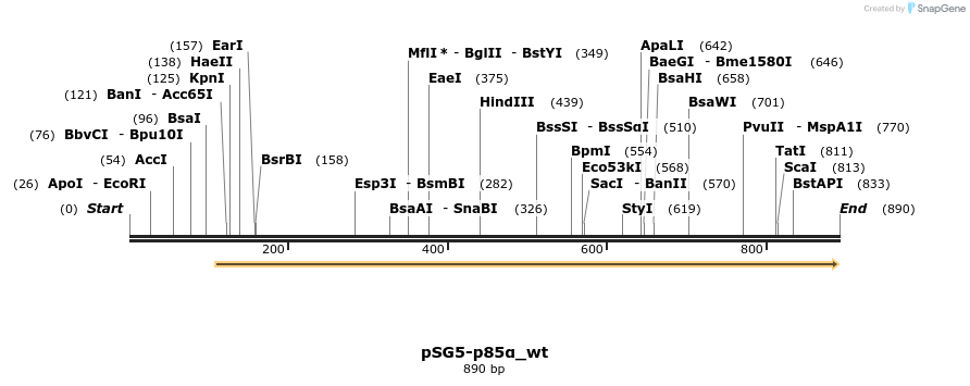 51044_map