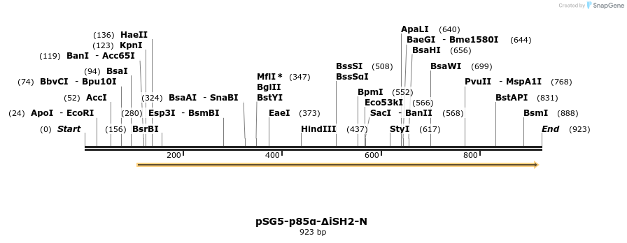 51045_map