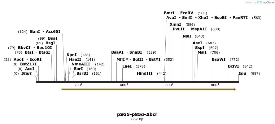 51049_map