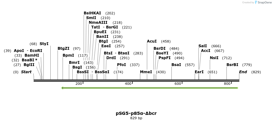 51050_map