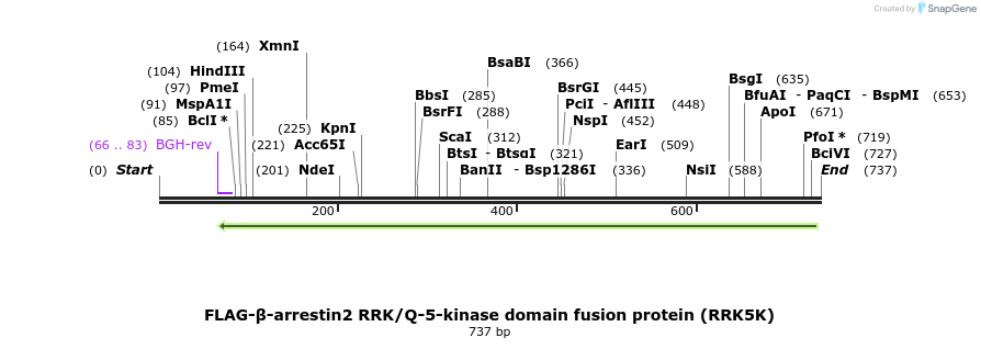 51051_map