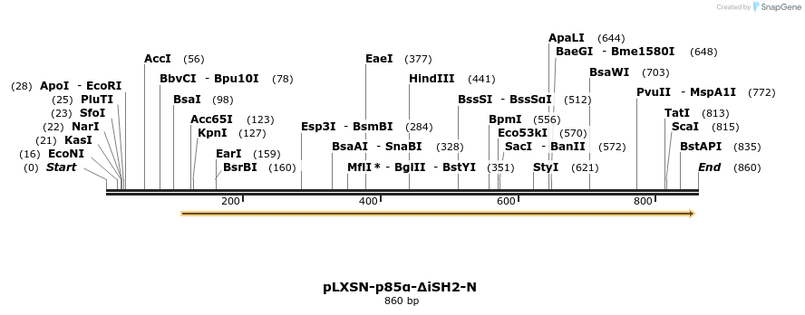 51053_map