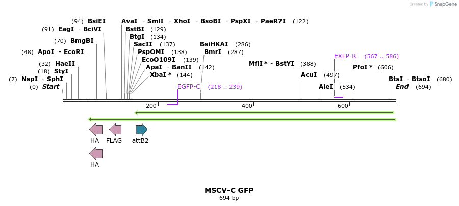 51061_map