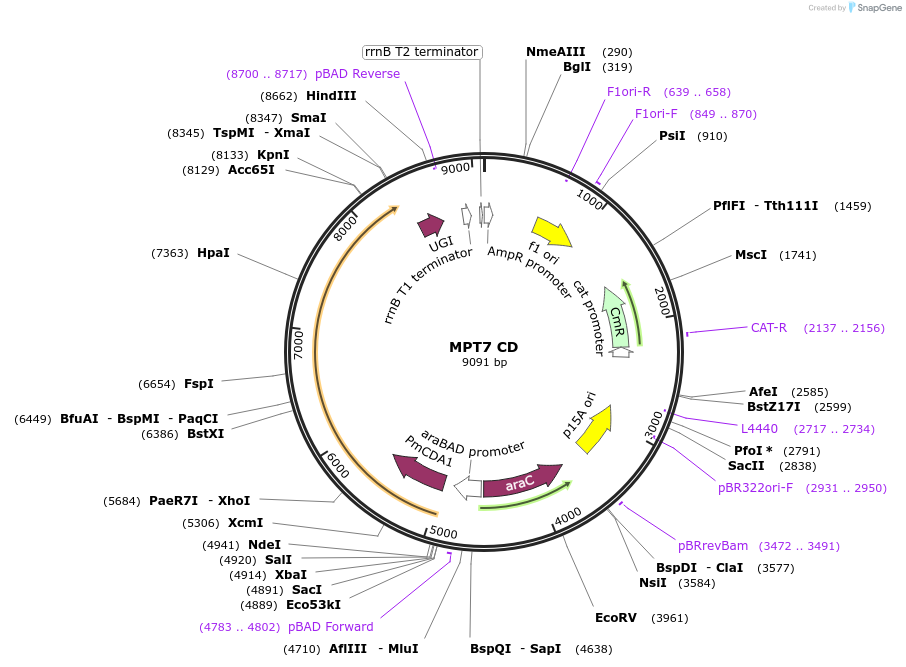 510745_map
