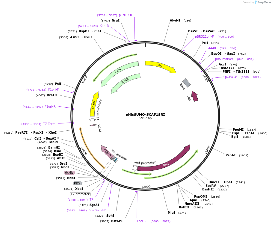 510790_map