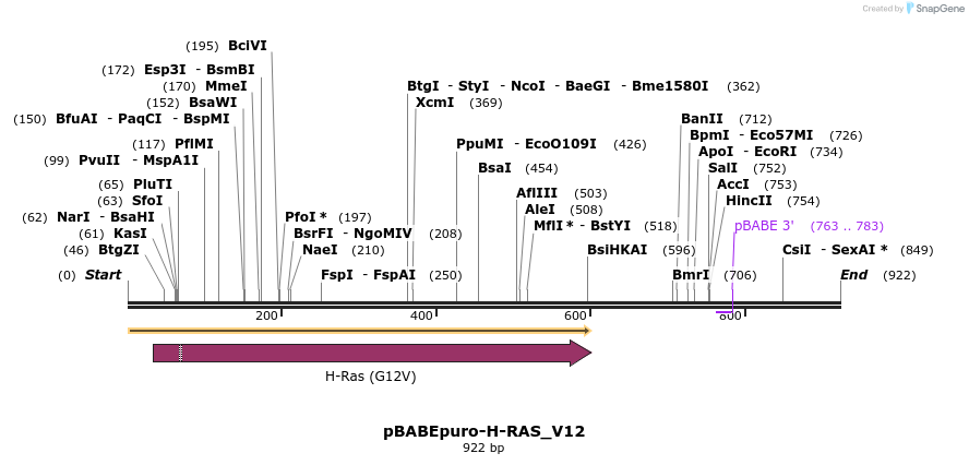 51083_map