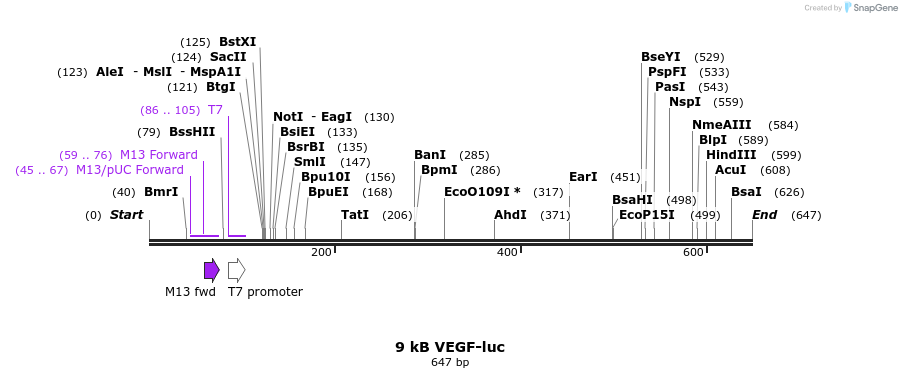 51087_map