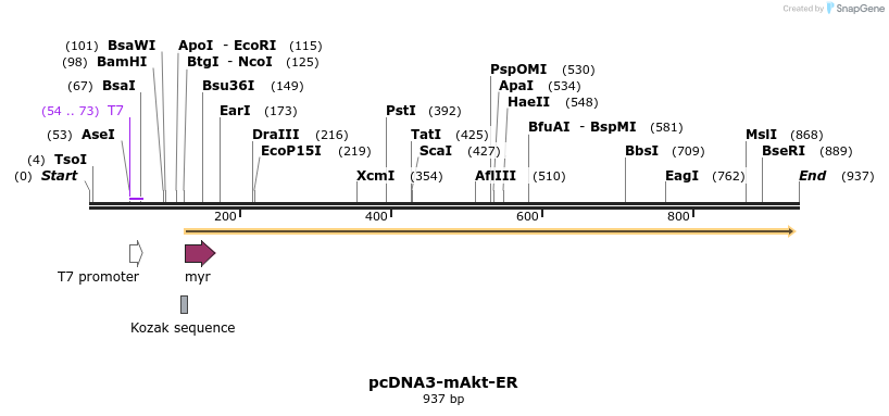 51089_map