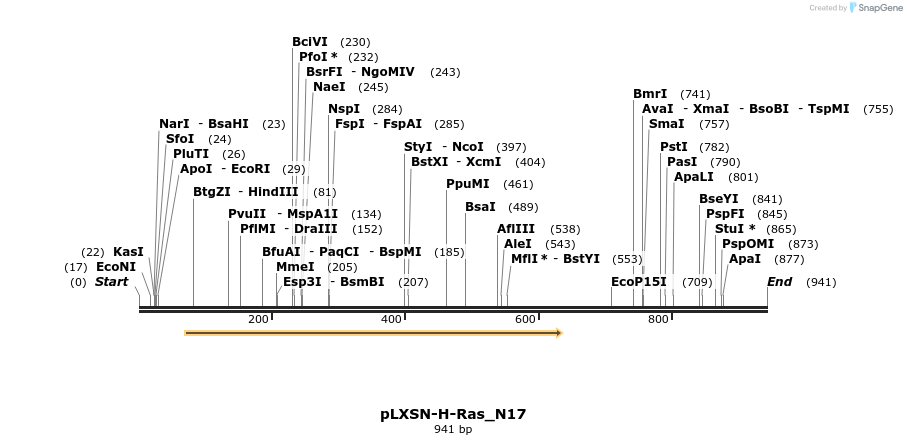 51090_map