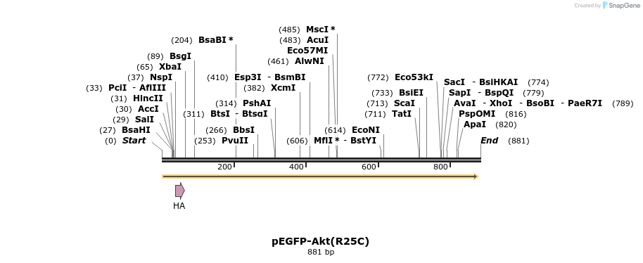 51092_map