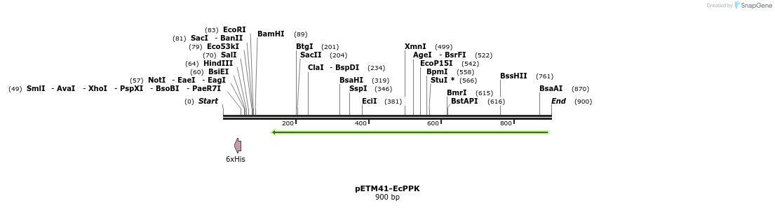 51093_map