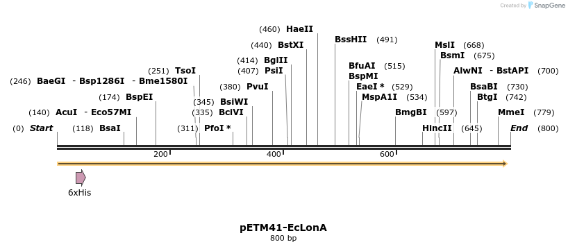 51097_map