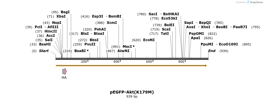 51098_map