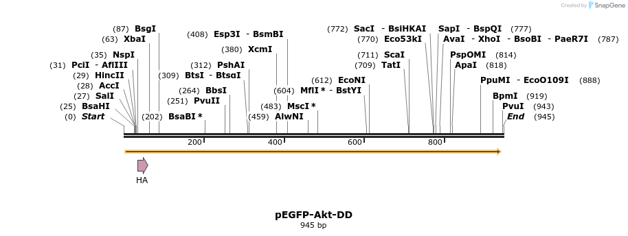 51100_map