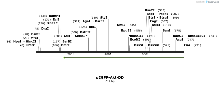 51101_map