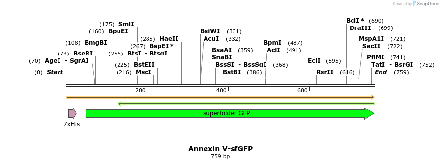 511011_map
