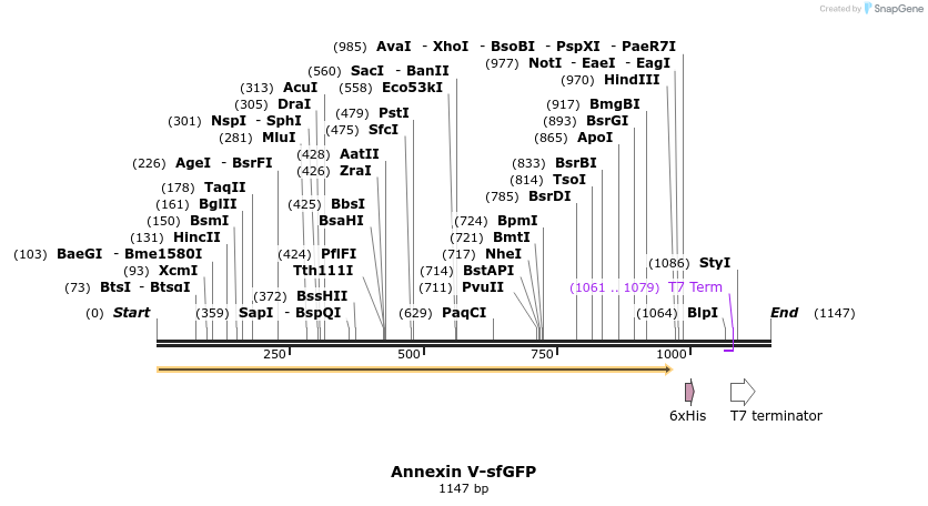 511012_map