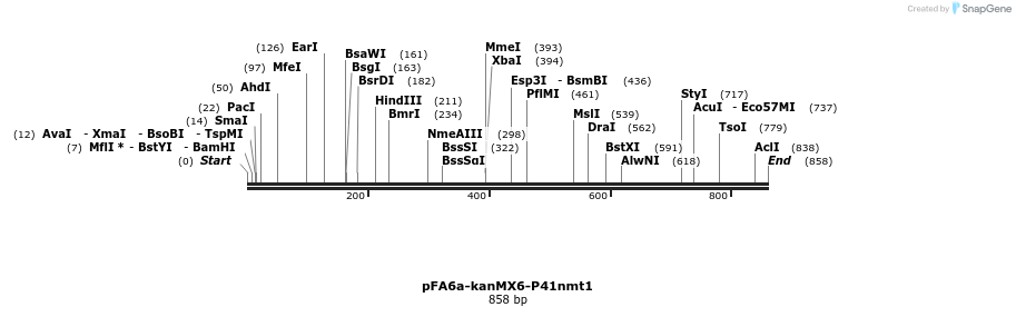 51102_map