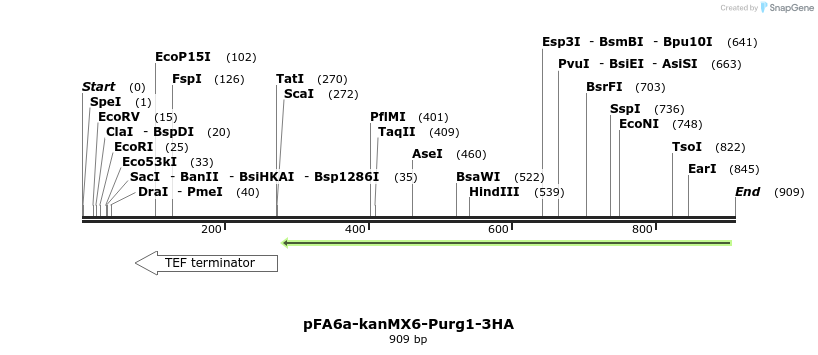 51107_map