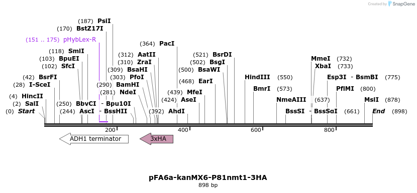 51109_map