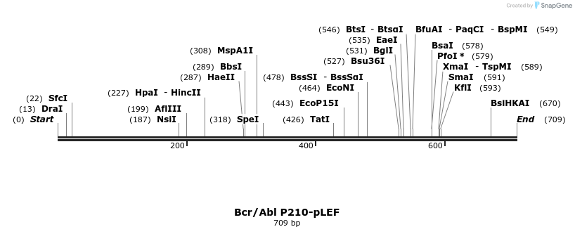 51111_map