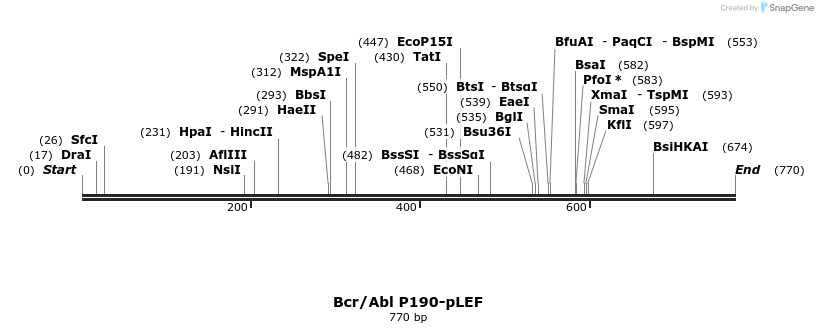 51113_map