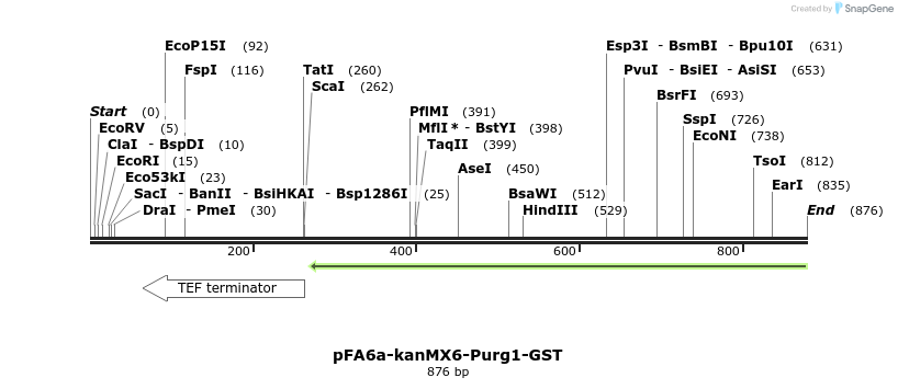 51114_map