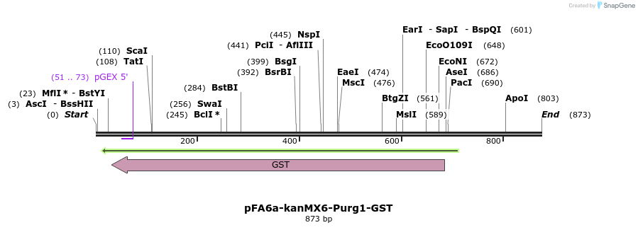 51115_map
