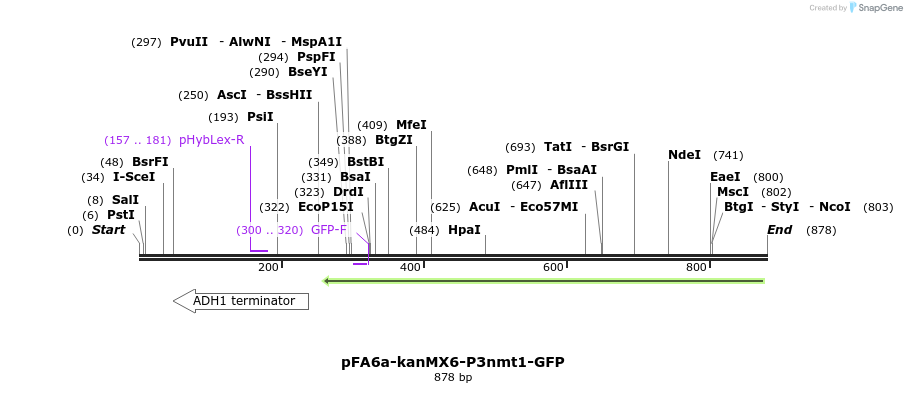 51119_map