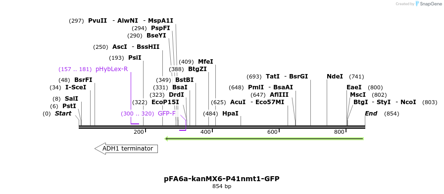 51121_map
