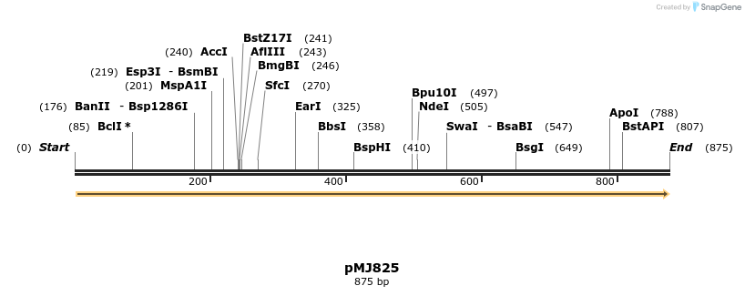 51123_map
