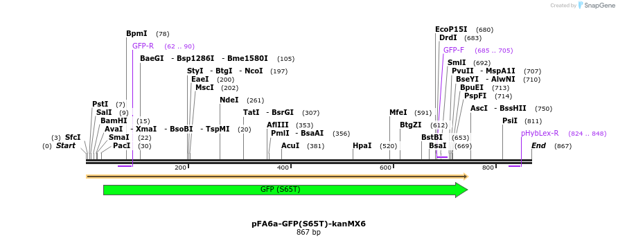 51124_map