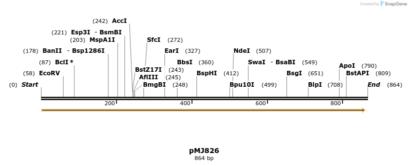 51126_map